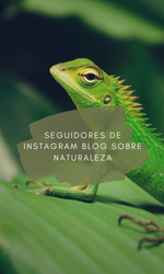 Comprar seguidores IG baratos y reales para perfil sobre animales y naturaleza en Instagram